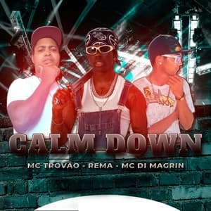 Calm Down (Remix)