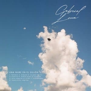 Una nube en el sillon