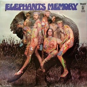 The Elephants Memory