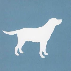 Youre Underfed, Im Wonderful