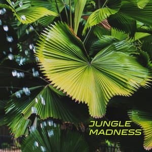 Jungle Madness