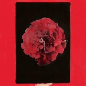 A Thousand Years In Another Way