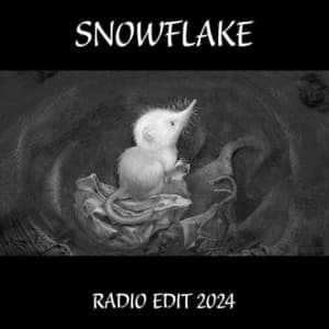 Snowflake (Radio Edit 2024)