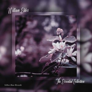 The Essential Collection