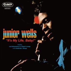 Its My Life, Baby! BONUS TRACKS