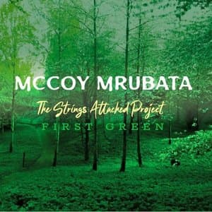 The Strings Attached Project - First Green