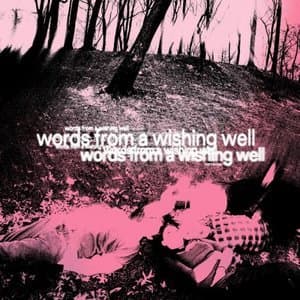 words from a wishing well (Deluxe Edition)