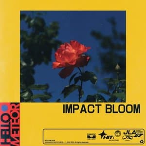 Impact Bloom