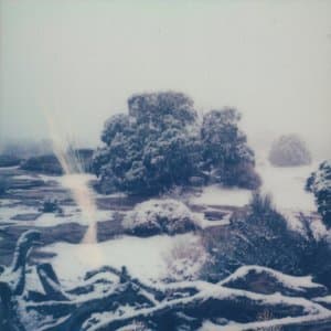 Xue Jie kenoYue Shu  (The Promise of the Melting Snow)