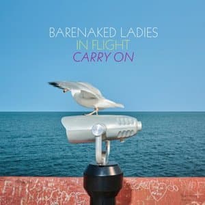 In Flight - Carry On