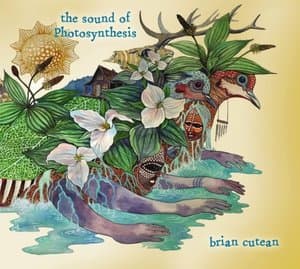 The Sound of Photosynthesis