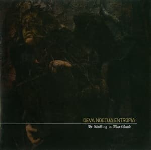 Be Sinking In Marshland