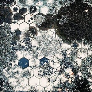 Every Cell In Your Body