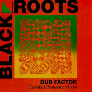 Dub Factor - The Mad Professor Mixes