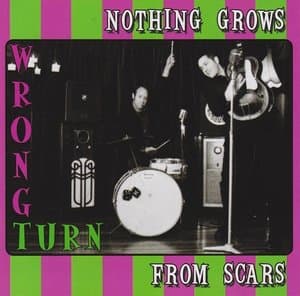 Nothing Grows From Scars