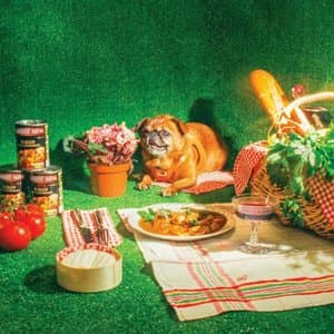 2024 : Annee du Dragon