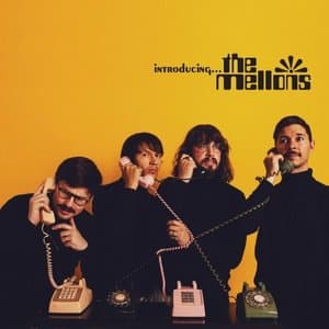 Introducing... The Mellons!