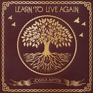 Learn To Live Again