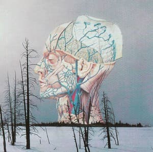 Songs For A Dead Pilot