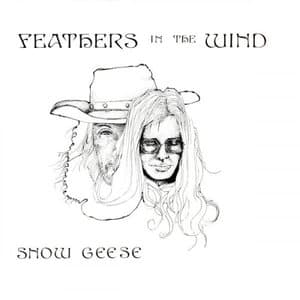 Feathers in the Wind