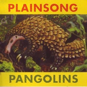 Pangolins