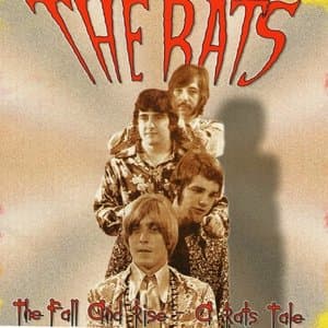 The Fall And Rise - A Rats Tale