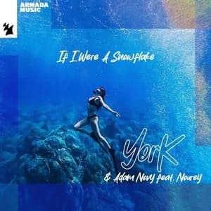 If I Were A Snowflake