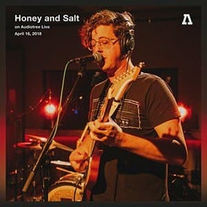 Honey and Salt on Audiotree Live