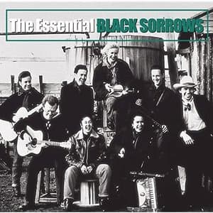 The Essential Black Sorrows