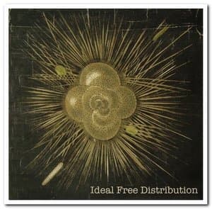 Ideal Free Distribution