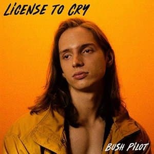 License to Cry