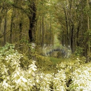 No One Will Know Where Youve Been (2007 Reissue)