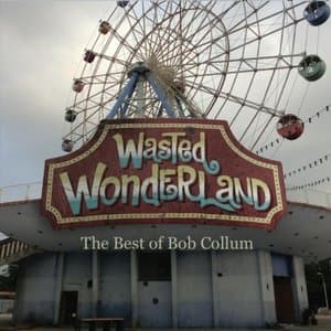 Wasted Wonderland - The Best Of Bob Collum