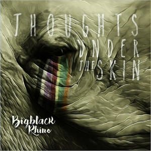 Thoughts Under The Skin