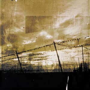 Under The Sodium Lights