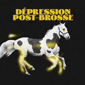 Depression post-brosse