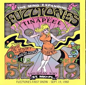 LSD 25 (25 Years Of Fuzz And Fury)