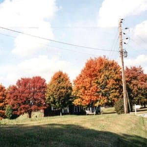 Things Are Gonna Be Alright (expanded edition)