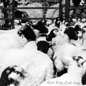 Earl Grey [Rough Trade Edition]