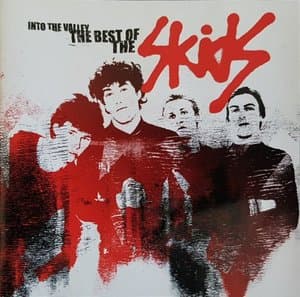 Skids Into The Valley: The Best Of The Skids