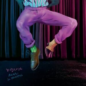 Animali da palcoscenico