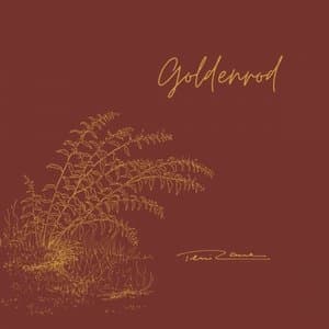 Goldenrod