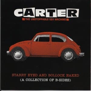 Starry Eyed And Bollock Naked (A Collection Of B-Sides)