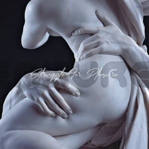 Struggle For Pleasure