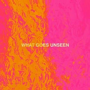 What Goes Unseen