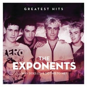 Why Does Love Do This To Me? :The Exponents Greatest Hits (Remastered)