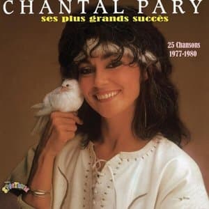 Ses plus grands succes 1977-1980