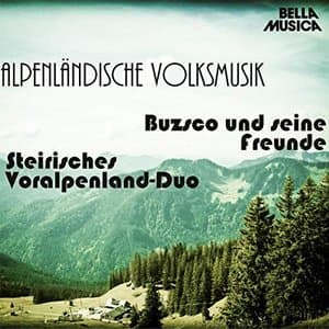 Alpenlandische Volksmusik, Vol. 6