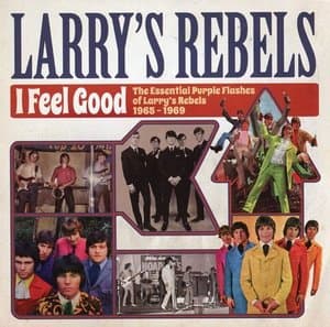 I Feel Good: The Essential Purple Flashes Of Larrys Rebels