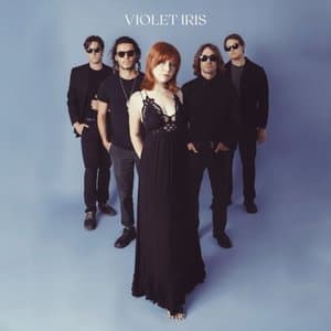 Violet Iris